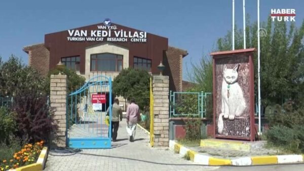 Günübirlik Van Turu
